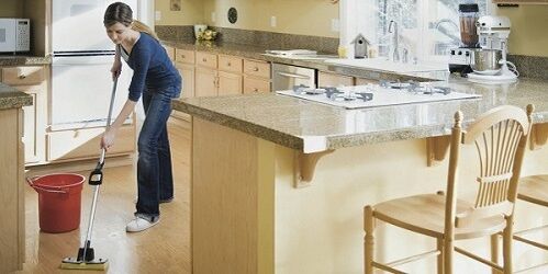 mokro čišćenje kao prevencija infekcije parazitima