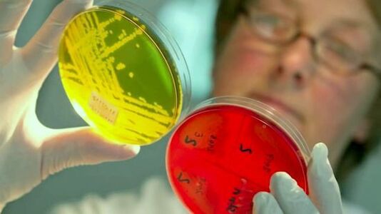 Istraživanje testova za otkrivanje parazita u ljudskom tijelu